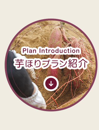 芋掘り体験のご予約 | 西浜ファーム